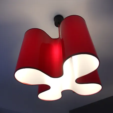 The Originals City, Notre Dame,